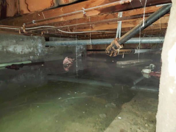 Best Ceiling water damage repair  in Bella Vista, AR