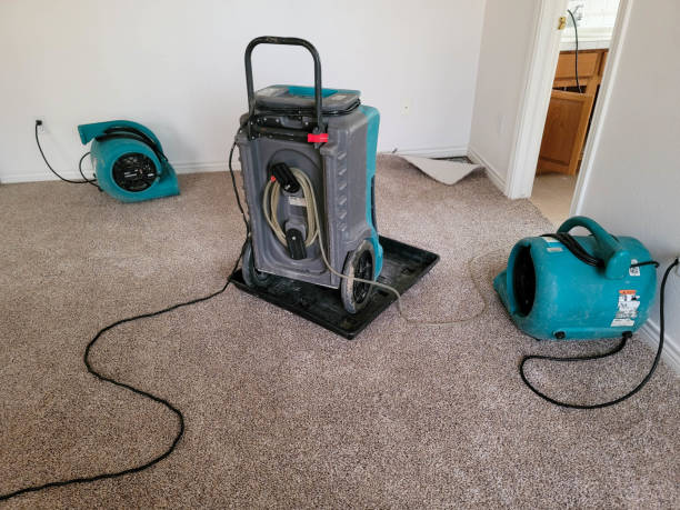 Best Sewage cleanup and water damage restoration  in Bella Vista, AR
