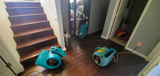 Best Professional water damage repair  in Bella Vista, AR