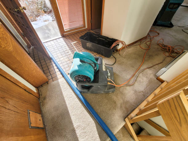 Best 24-hour water damage restoration  in Bella Vista, AR