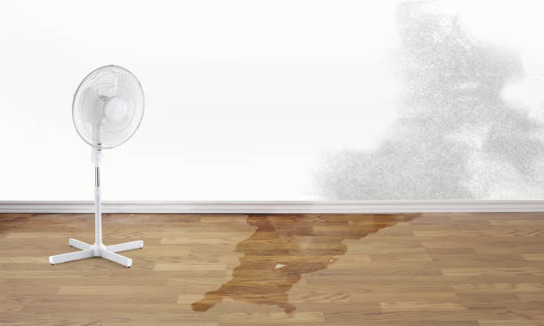 Fire Damage Restoration in AR
