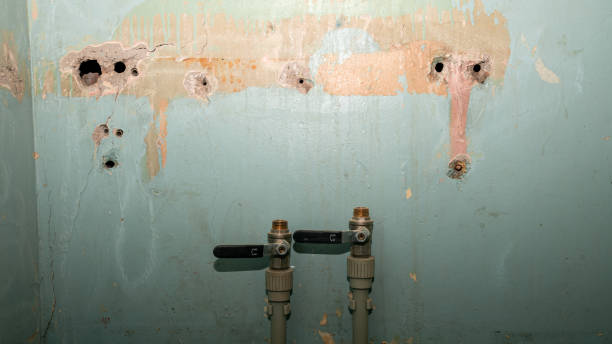 Best 24/7 water damage repair  in Bella Vista, AR