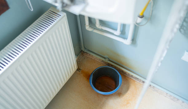 Best Ceiling water damage repair  in Bella Vista, AR