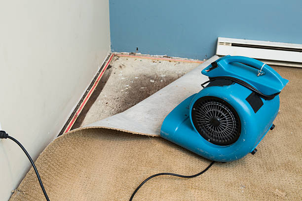 Best Water damage restoration process  in Bella Vista, AR